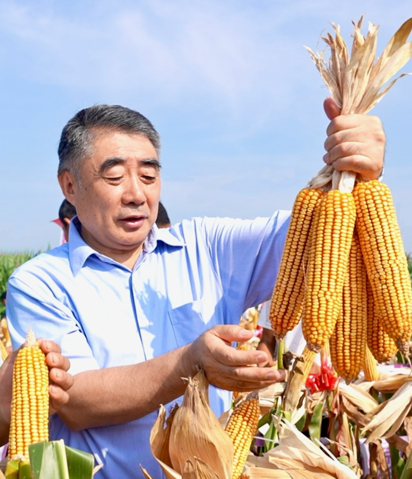 种业之都北京振兴步履铿锵！(图4)