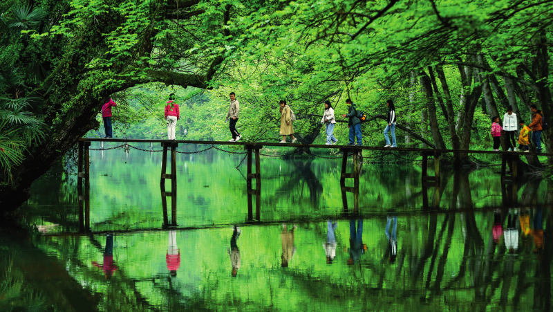 瞭望·治国理政纪事丨进一步推动文化和旅游融合发展(图4)