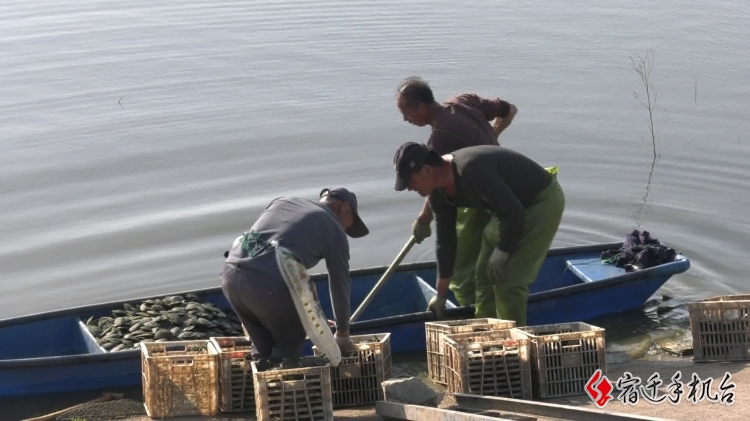 自然资源部海洋战略规划与经济司司长古妩:自然资源部将以实施“海洋领域新质生产力培育重大工程”为牵引前瞻布局“人工智能+”(图1)