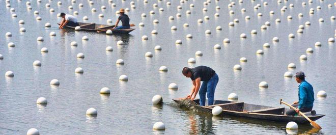 联合国粮农组织：从农业文化遗产中汲取气候适应智慧(图1)