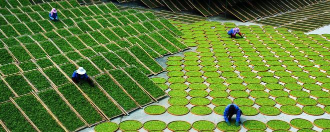 联合国粮农组织：从农业文化遗产中汲取气候适应智慧(图2)