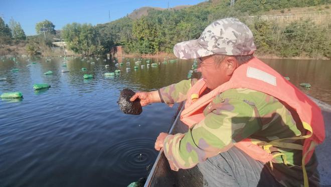 秦皇岛：在旅游城市中建设美丽田园(图1)