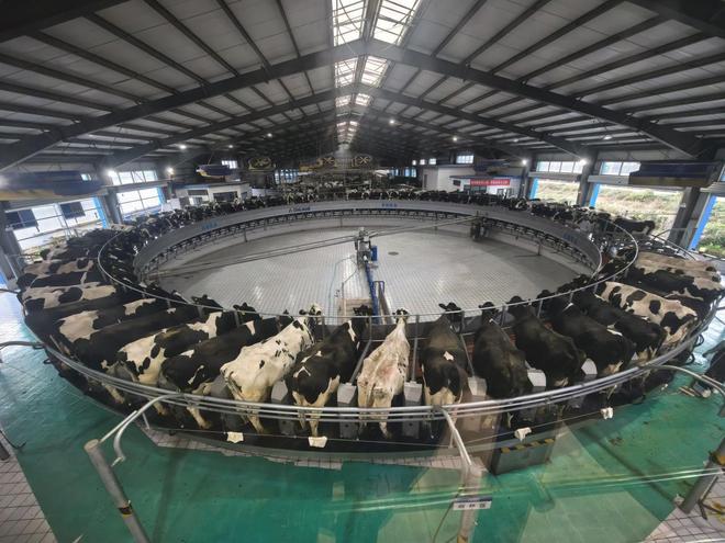 秦皇岛：在旅游城市中建设美丽田园(图7)