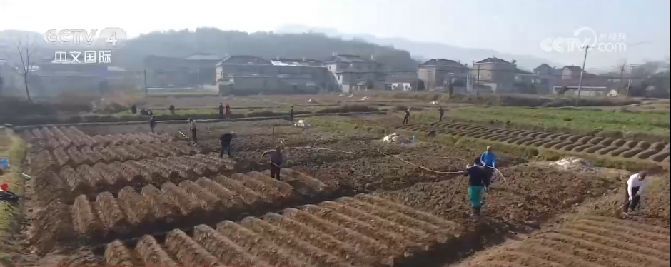 不同地域、独具特色、历史悠久 中国6项全球重要农业文化遗产获授牌(图3)