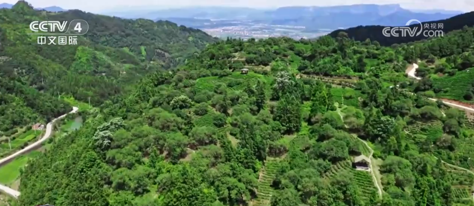 不同地域、独具特色、历史悠久 中国6项全球重要农业文化遗产获授牌(图1)