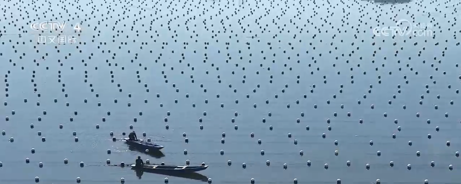 不同地域、独具特色、历史悠久 中国6项全球重要农业文化遗产获授牌(图7)