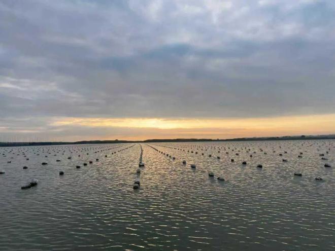 白志毅：深耕淡水珍珠产业数十载以科技之力点亮“珠城”新未来(图4)