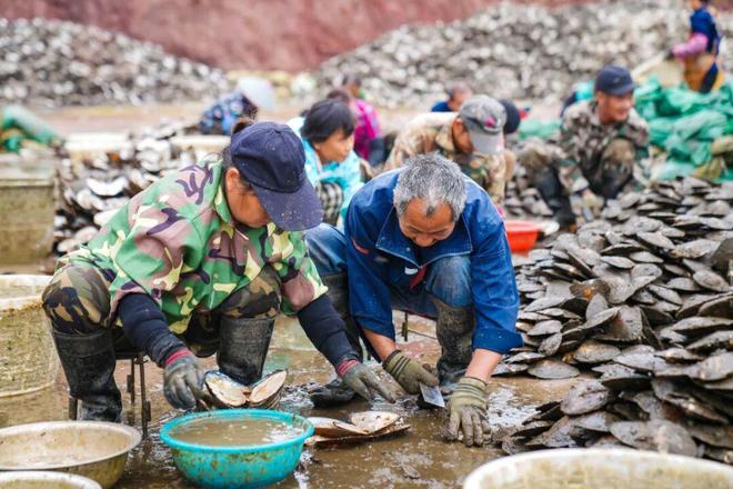 小珍珠 大能量！(图4)