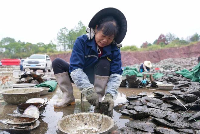 小珍珠 大能量！(图3)
