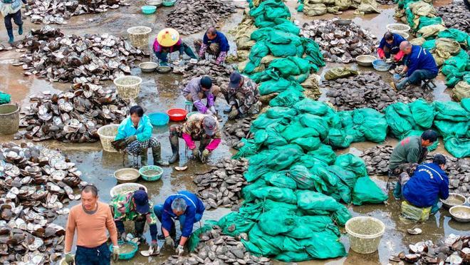 小珍珠 大能量！(图2)