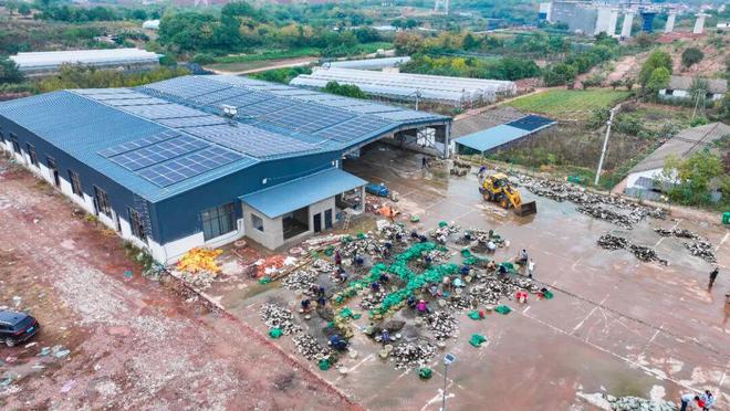 小珍珠 大能量！(图1)