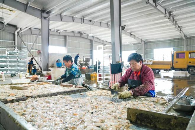 小珍珠 大能量！(图5)