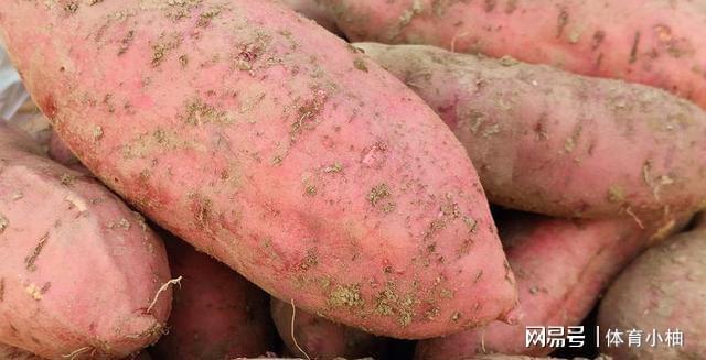 亩产5000斤曾撑起中国4亿人口粮的红薯为啥成不了中国主食？(图4)