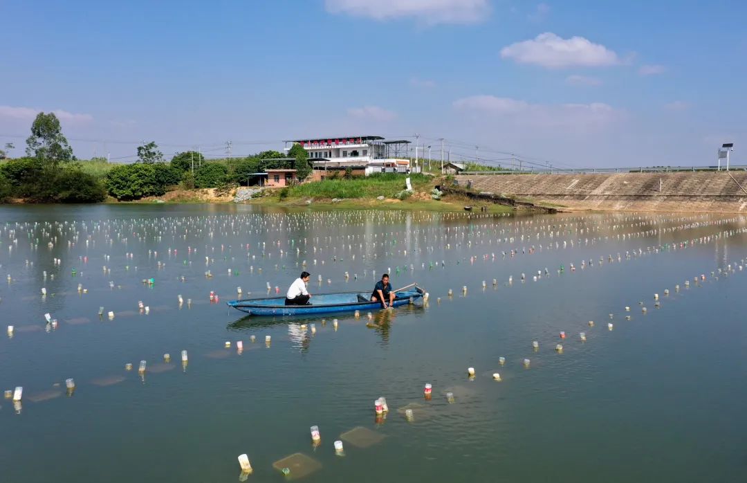 公开征求意见_发展_青年_组织协调(图1)