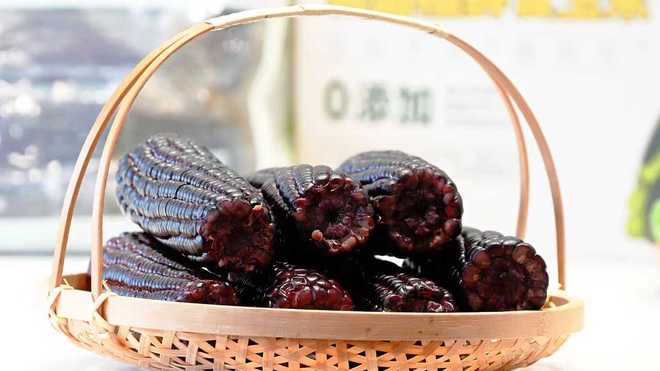 “黑珍珠”玉米走势火爆!始于良种背后的坚持(图1)