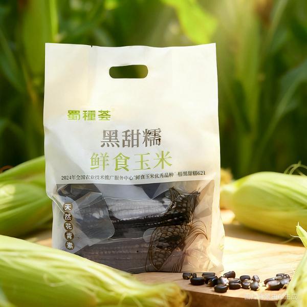 “黑珍珠”玉米走势火爆!始于良种背后的坚持(图2)