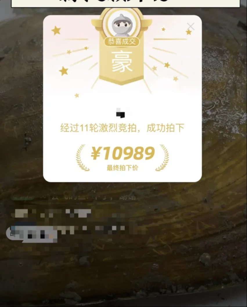 天然珍珠假一赔万到手震惊了(图1)