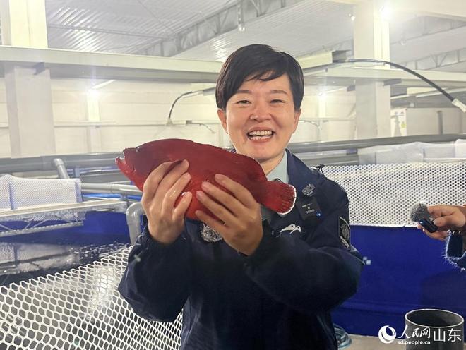 山东烟台：金山银海庄园焕彩(图2)