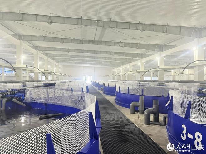 山东烟台：金山银海庄园焕彩(图1)