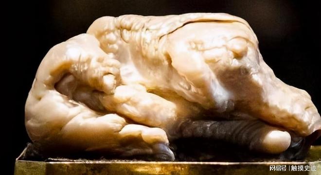 世界上最大的淡水珍珠来自中国清朝时期被荷兰商人偷渡出境(图3)