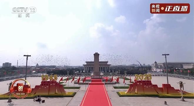 8万羽和平鸽都是“借来”的关在特殊笼子放飞有的已经到家了(图7)