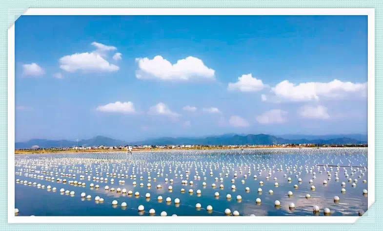 河南新县方湾村：一面土地法令墙见证百年鱼水情(图1)