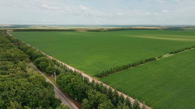 千禾携手国家级农场共建非转基因大豆供应基地(图1)