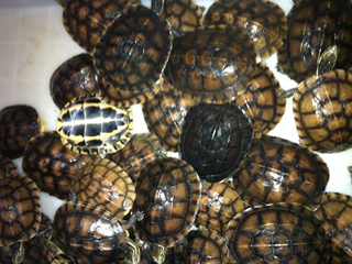 中国又创造了一大“奇迹”14亿人将受益！让外国人都惊呆了！(图1)