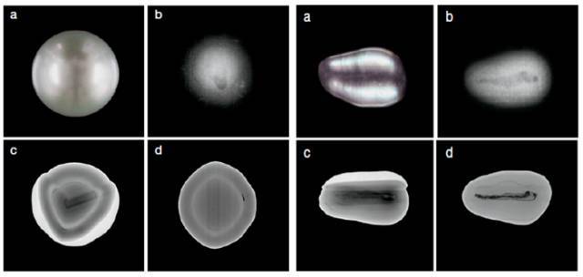 内蒙古自治区人民政府办公厅关于印发全面推进美丽内蒙古建设筑牢我国北方重要生态安全屏障规划纲要(2025—2035年)的通知(图1)