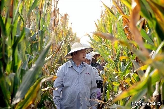 欧美多次围剿中国打响“粮食战争”如今中国的反击开始了!(图5)