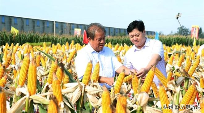 欧美多次围剿中国打响“粮食战争”如今中国的反击开始了!(图4)