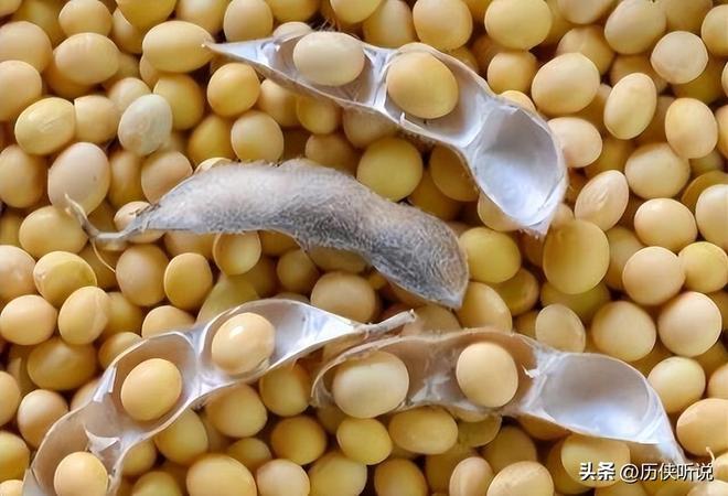 欧美多次围剿中国打响“粮食战争”如今中国的反击开始了!(图8)