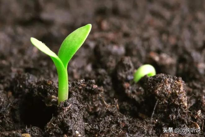 欧美多次围剿中国打响“粮食战争”如今中国的反击开始了!(图7)