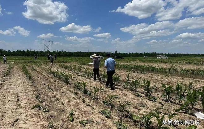 欧美多次围剿中国打响“粮食战争”如今中国的反击开始了!(图6)