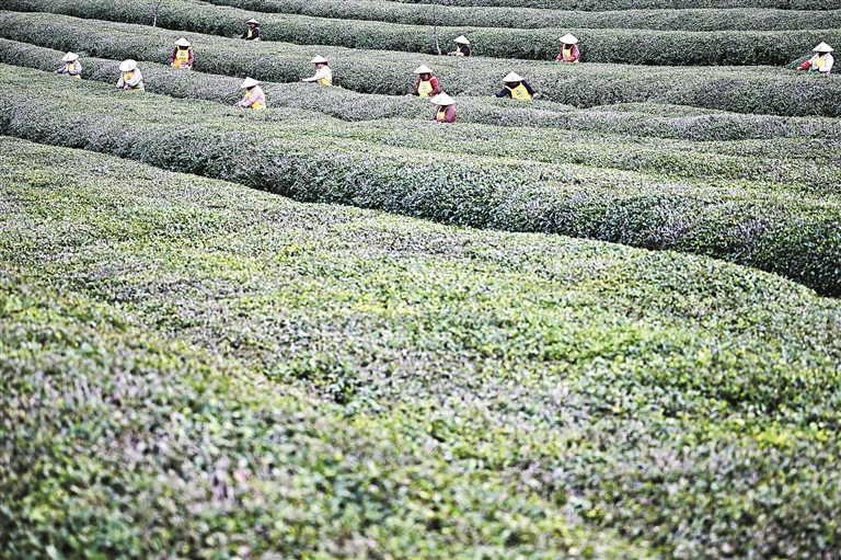 在发掘中保护 在利用中传承 让中华农业文化遗产“活”起来(图1)