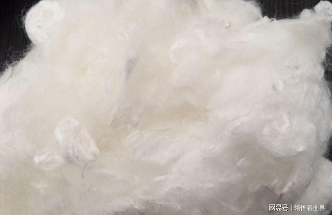 世界第一人国外专家研究数十年未果河南农民花10年成功(图1)