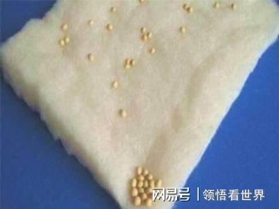 世界第一人国外专家研究数十年未果河南农民花10年成功(图7)