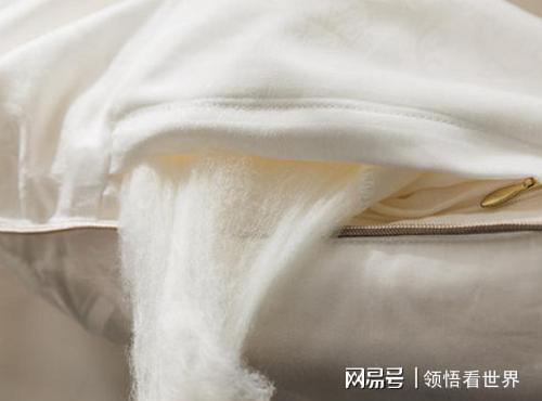 世界第一人国外专家研究数十年未果河南农民花10年成功(图10)