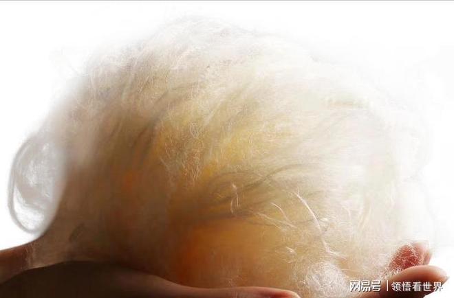 世界第一人国外专家研究数十年未果河南农民花10年成功(图9)