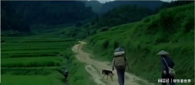 世界第一人国外专家研究数十年未果河南农民花10年成功(图13)