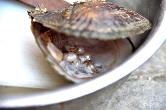 用品牌力量感染大学生创业梦(图1)