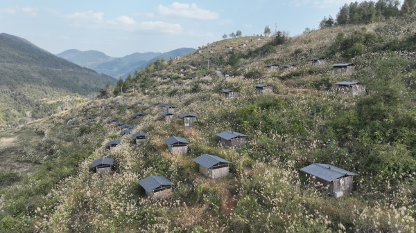 秀山：“智慧鸡场”赋能生态养殖(图1)