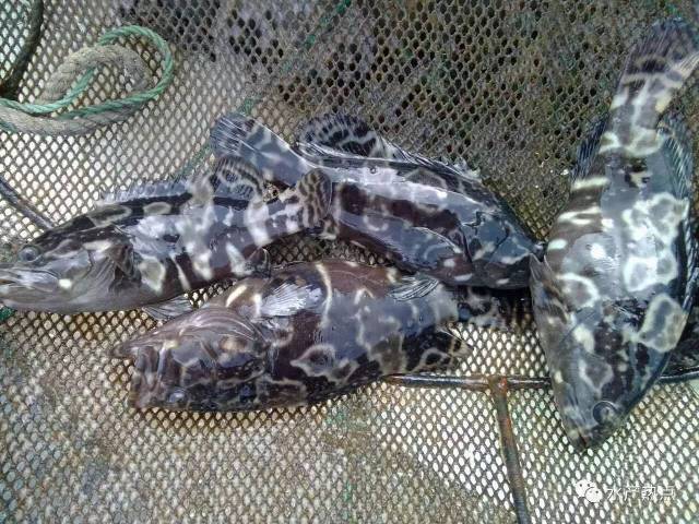 文创映山色 产业展新姿——安徽以“文化+科技”为突破口打造文化体制改革新模式(图1)