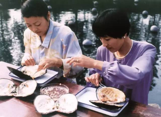 东北农业大学多种形式庆建校60周年(图1)