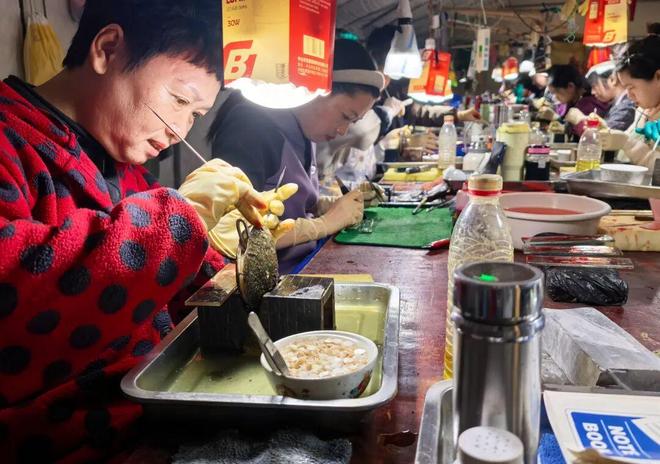 如皋这些地方年产珍珠近千万颗！(图2)