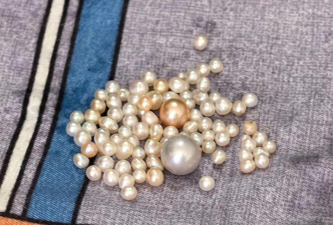 如皋这些地方年产珍珠近千万颗！(图3)