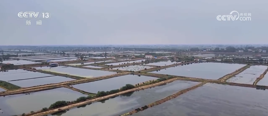 “土特产”变“金名片” 各地多元特色产业描绘乡村振兴好“丰”景(图4)