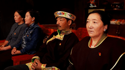 2025西藏顶配答卷：团结是笔奋斗是墨(图4)