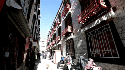 2025西藏顶配答卷：团结是笔奋斗是墨(图3)