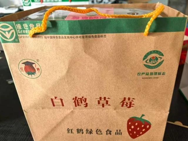 从6株种苗到5700余亩连片田园青浦白鹤镇用一颗草莓撬动乡村振兴(图1)